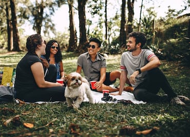 Actividades gratuitas para este domingo en CDMX, si no te gusta el Super Bowl