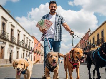 Caso real en México: Paseador de perros gana 60 mil pesos mensuales; esta es su jornada laboral