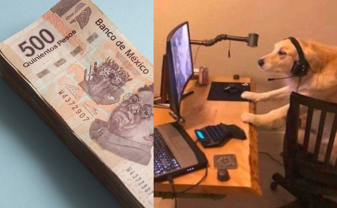 ¿Cuánto gano en Cetes en 2024 y cómo empezar a invertir? (Foto: DeDinero)