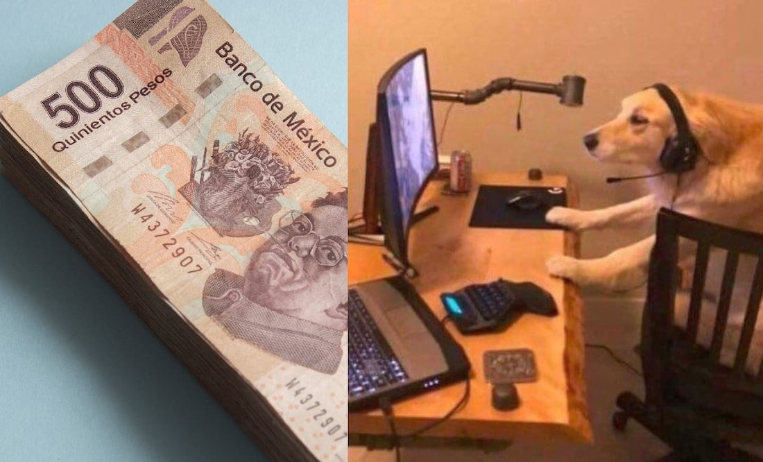 ¿Cuánto gano en Cetes en 2024 y cómo empezar a invertir? (Foto: DeDinero)