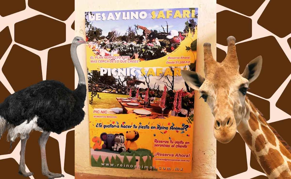 Reino Animal, ubicación y precios. (Foto: Javier Ramírez)