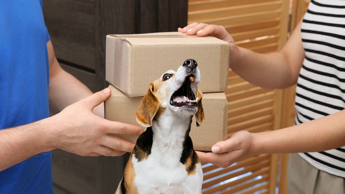 El brushing es un fraude de comercio electrónico que usa identidades reales para inflar reseñas falsas y engañar a consumidores (Foto: Canva)