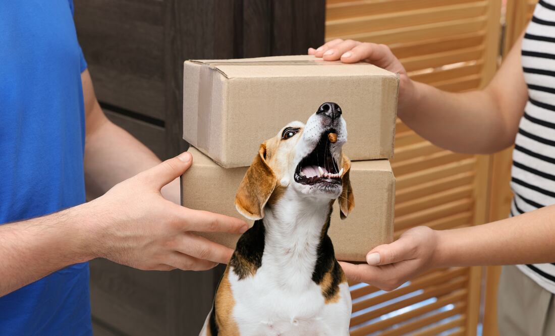 El brushing es un fraude de comercio electrónico que usa identidades reales para inflar reseñas falsas y engañar a consumidores (Foto: Canva)