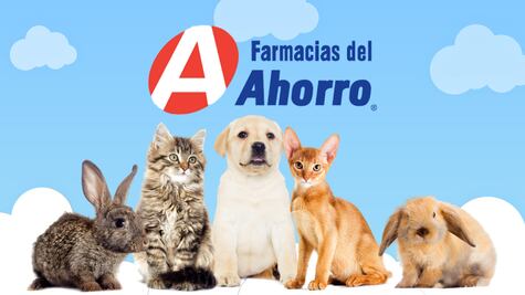 Farmacias del Ahorro lanza clínicas veterinarias: Consultas gratis porque "te queremos bien guau"
