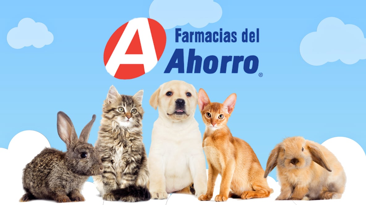 Farmacias del Ahorro abre sus puertas a las mascotas (Foto: Canva)