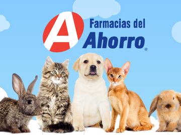 Farmacias del Ahorro lanza clínicas veterinarias: Consultas gratis porque "te queremos bien guau"