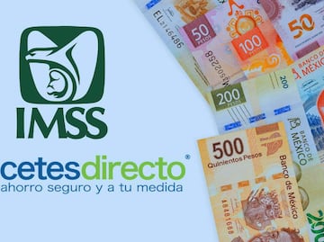 Modalidad 40 IMSS o invertir en CETES: Cuál conviene más