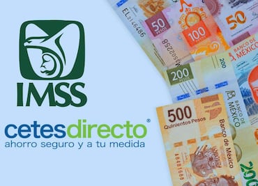 Modalidad 40 IMSS o invertir en CETES: Cuál conviene más
