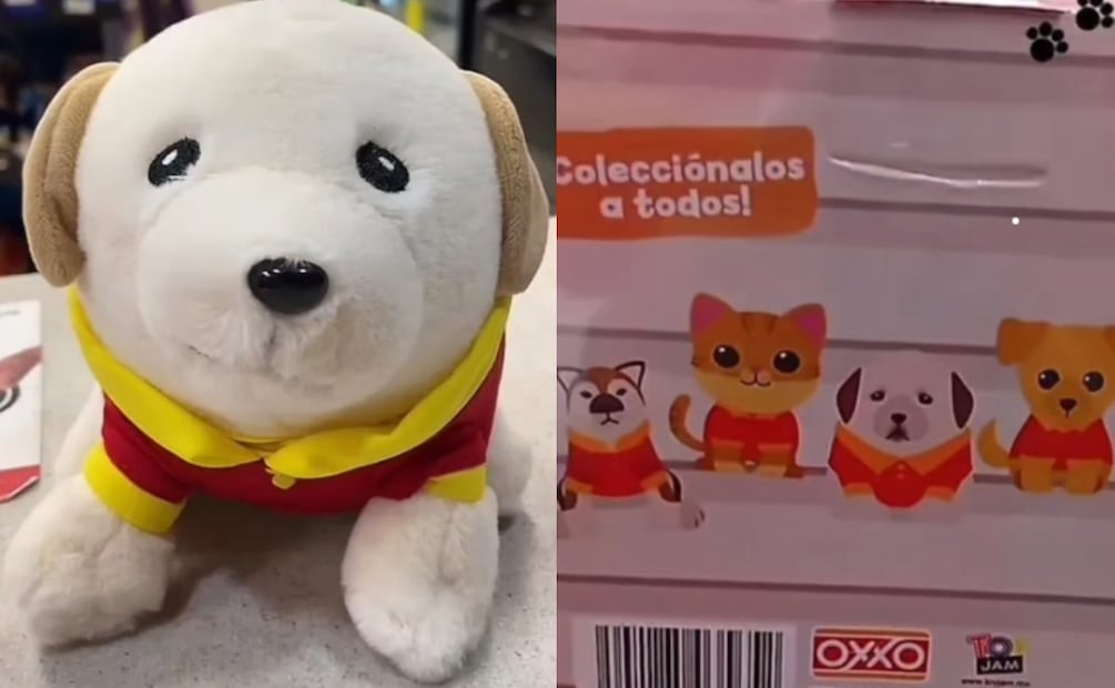 Costo de los PeluchOXXOs (Foto: Captura de pantalla Tiktok)