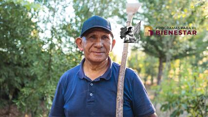 Calendario oficial de pagos Pensión Bienestar noviembre, consulta aquí qué día te toca según tu apellido