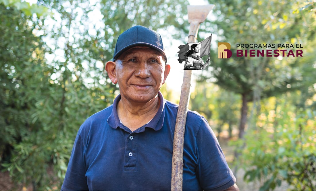 Inicia la última dispersión del año para los programas del Bienestar (Foto: Canva)