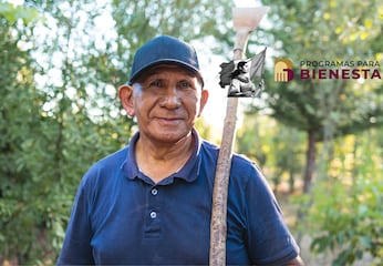 Calendario oficial de pagos Pensión Bienestar noviembre, consulta aquí qué día te toca según tu apellido