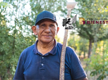 Calendario oficial de pagos Pensión Bienestar noviembre, consulta aquí qué día te toca según tu apellido