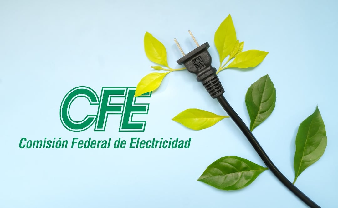 ¿Qué aparatos se deben desconectar para ahorrar luz? (Foto: DeDinero)