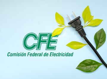 Cómo ahorrar energía en recibo CFE: Dispositivos que debes desconectar por la noche