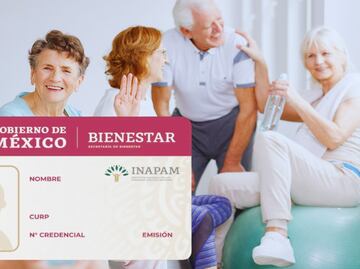 Directora en INAPAM revela dónde tomar cursos de 25 pesos para conseguir empleo