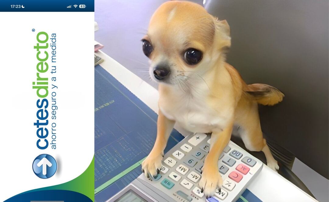 ¿Dónde puedo invertir mi dinero para ganar más? (Foto: DeDinero)