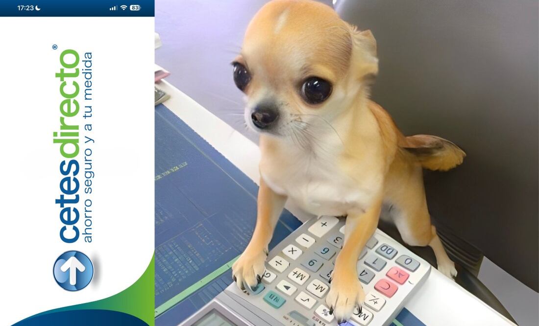 ¿Dónde puedo invertir mi dinero para ganar más? (Foto: DeDinero)