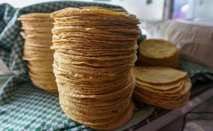 Kilo de tortilla se vende en el doble de su precio en Guerrero, tras paso del Huracán Otis