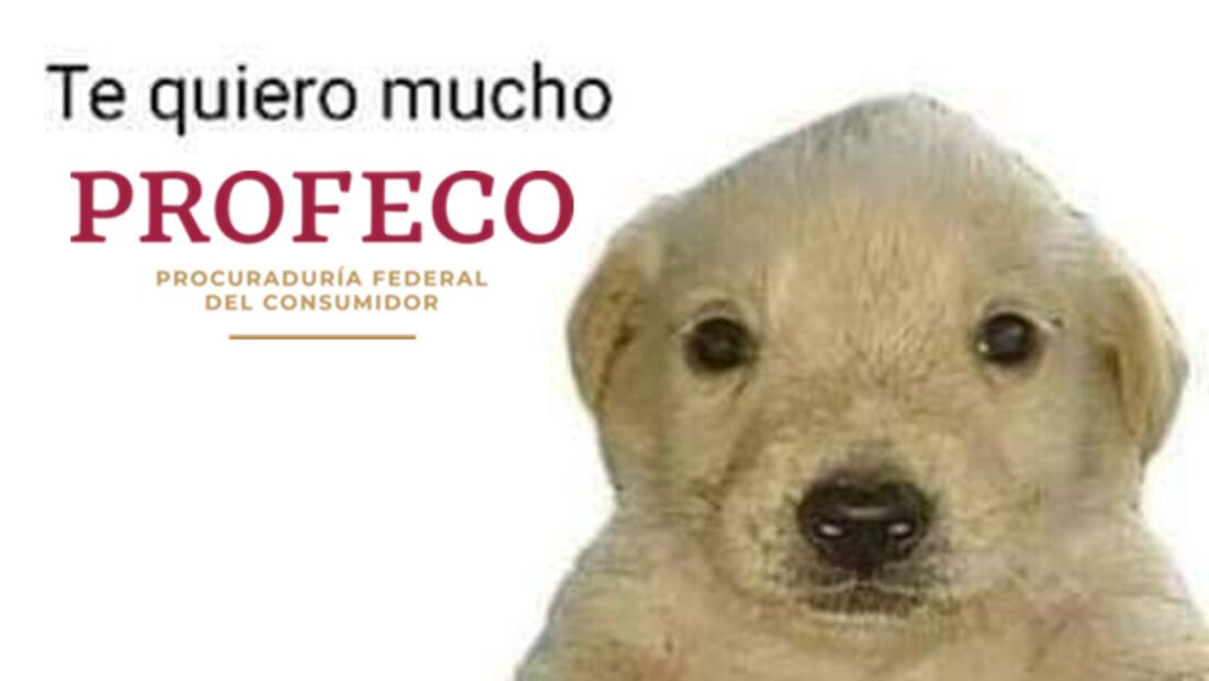 Memes sobre el caso de Cartier. (Foto: Redes sociales)