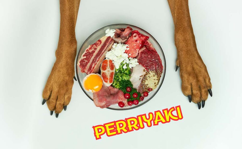 Prepara comida para perros nutritiva y barata en casa: receta económica arroz perriyaki