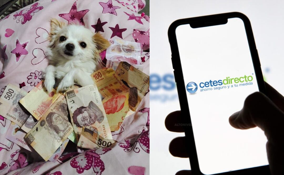 ¿Cuánto paga CETES hoy, 2024? (Foto: DeDinero)