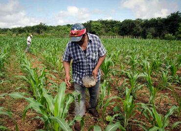 ¿Cómo inscribirse al programa Producción para el Bienestar 2023?