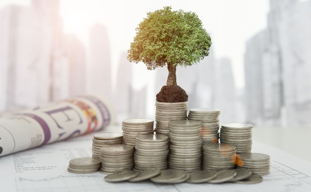 ¿Qué da más rendimiento, Cetes o Bonddia? (Foto: DeDinero)