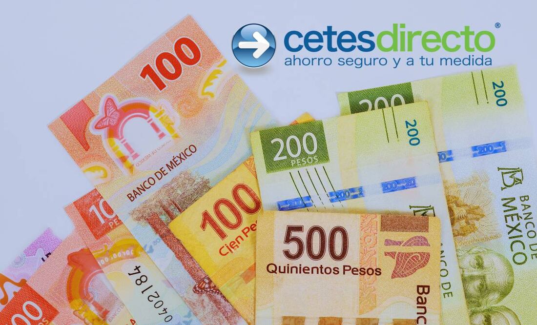 ¿Qué rendimiento dan los Cetes hoy? (Foto: DeDinero)