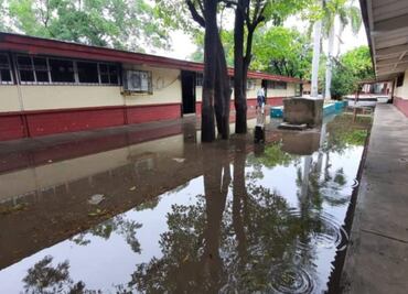 Megapuente escolar y ahorro en gasolinas: Consecuencias de la tormenta tropical “Alberto” en México