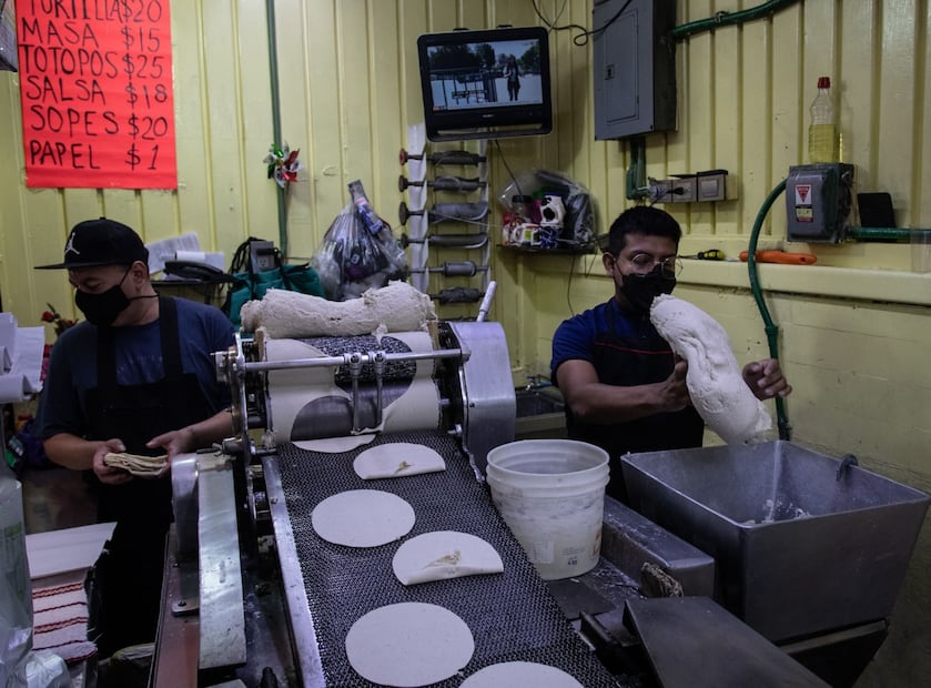 El Acuerdo Nacional Maíz-Tortilla impulsa una alianza entre productores, tortillerías y gobierno para garantizar precios justos (Foto: Cuartoscuro)