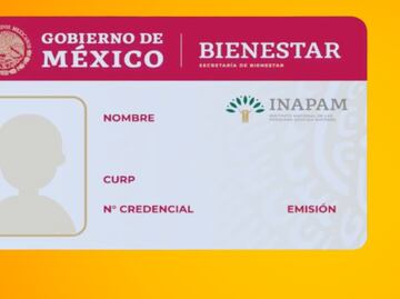Alerta Tarjeta INAPAM: ¿Por qué ya no se podrá tramitar en México desde marzo del 2024?