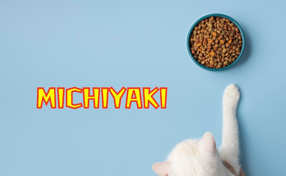 ¿Cómo se elabora la comida casera, nutritiva y barata para gatos? Receta fácil Michiyaki