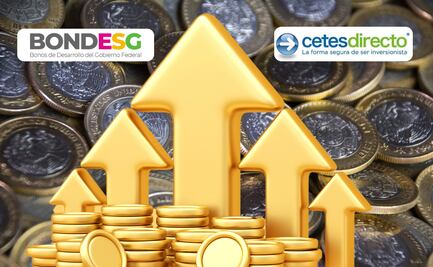 Cómo invertir en Bondes: La guía completa para rentabilizar con valores gubernamentales