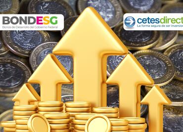 Cómo invertir en Bondes: La guía completa para rentabilizar con valores gubernamentales