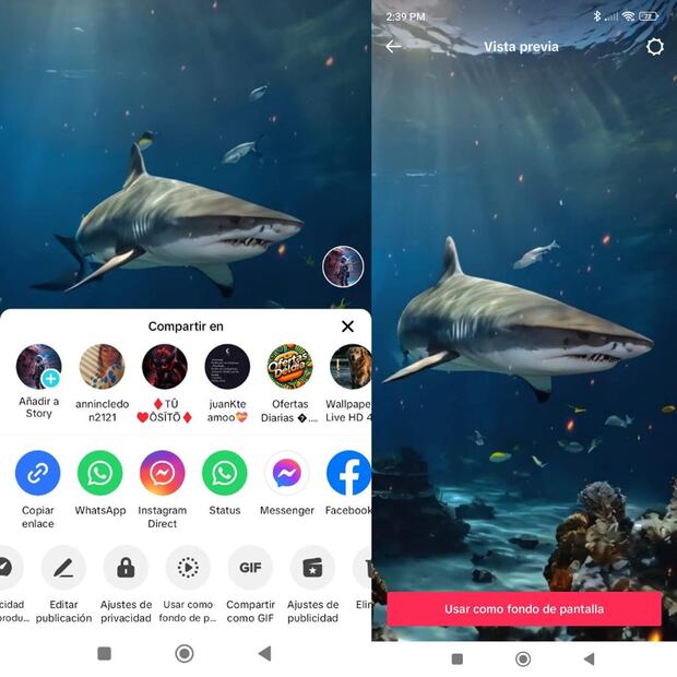 Transforma tu celular con fondos animados de TikTok y dale un toque único a tu pantalla. (Foto: DeDinero)