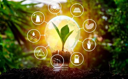 Qué son los bonos verdes y en dónde invertir en ellos en México