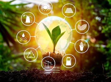 Qué son los bonos verdes y en dónde invertir en ellos en México