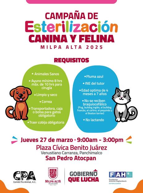 Peluditos Fest. (Foto: Redes sociales)