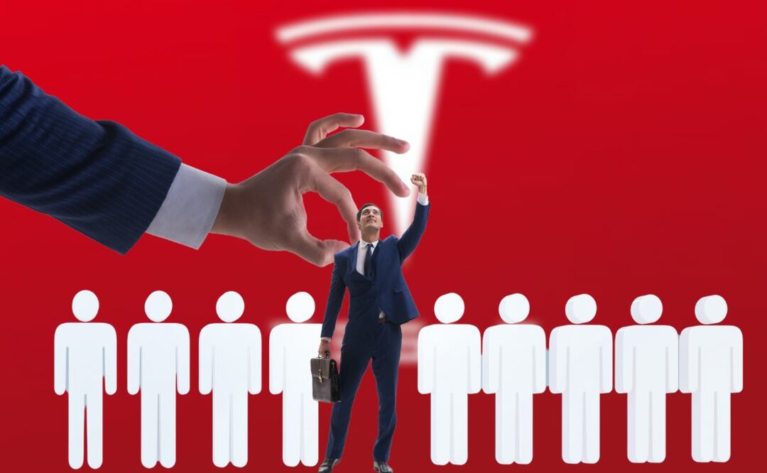 Únete al futuro sostenible, conoce los empleos disponibles en Tesla. (Foto: DeDinero)