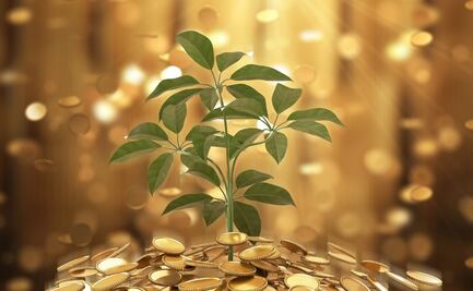 10 conceptos para entender las inversiones en México y tomar mejores decisiones financieras