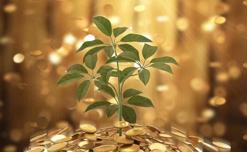 10 conceptos para entender las inversiones en México y tomar mejores decisiones financieras