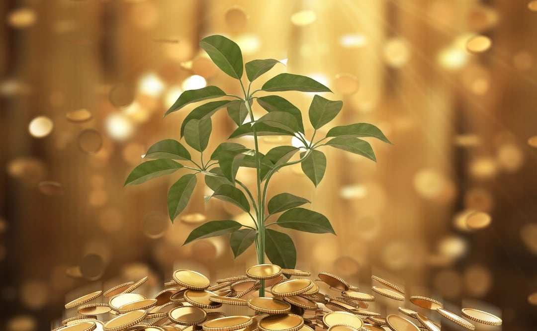 ¿Qué se debe saber antes de empezar a invertir? (Foto: DeDinero)