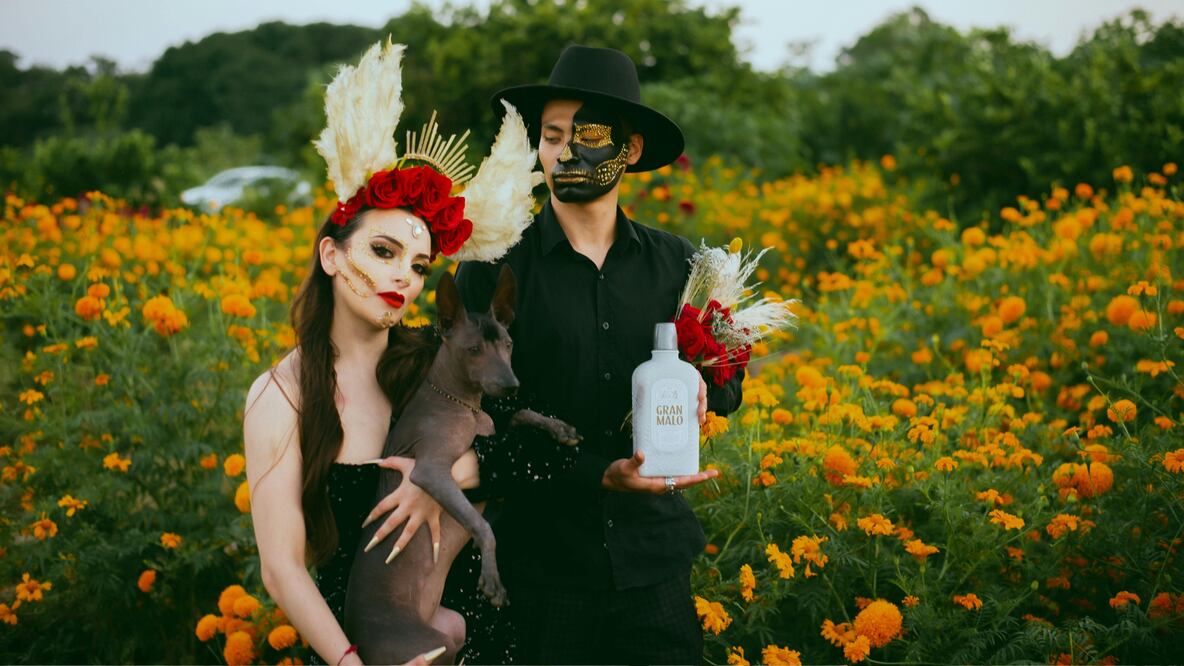 Disfraces económicos para Halloween 2025 (Foto: Canva)