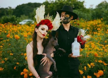 Disfraces rápidos para Halloween sin gastar mucho dinero, opciones en Amazon y Mercado Libre