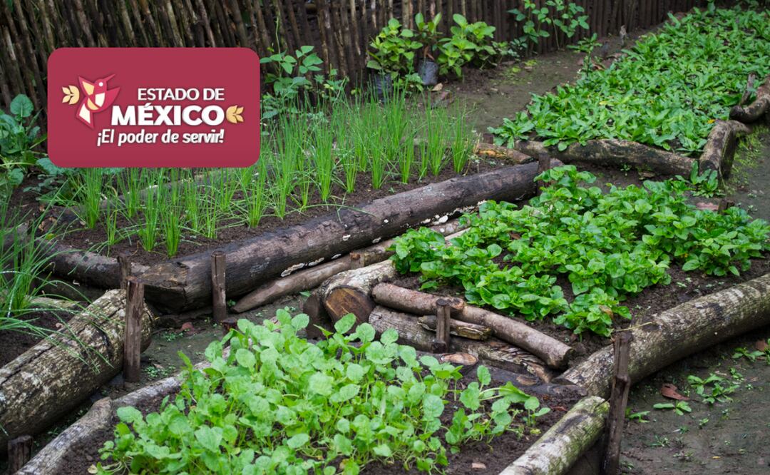 ¿En qué consiste el programa Bienestar y Desarrollo Comunitario del Edomex? (Foto: DeDinero)