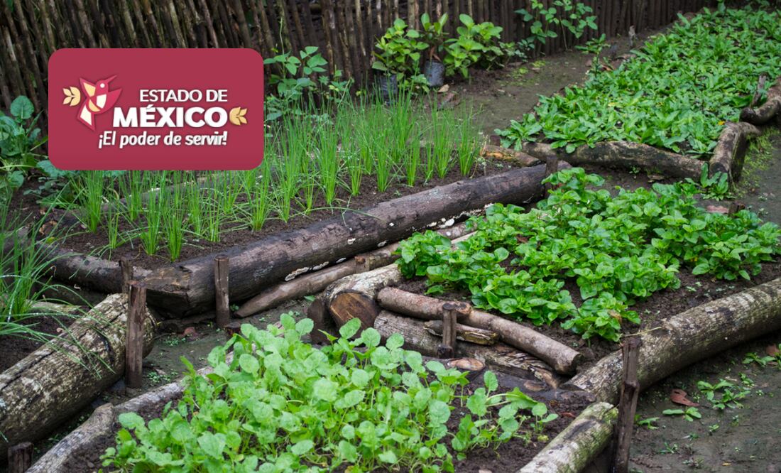 ¿En qué consiste el programa Bienestar y Desarrollo Comunitario del Edomex? (Foto: DeDinero)