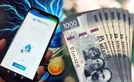 Bonos o Udibonos: ¿Cuál te da más rendimientos por invertir 10 mil pesos en Cetesdirecto?