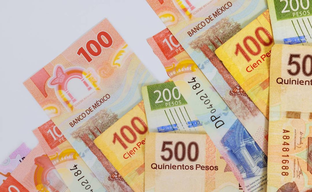 Reparto de utilidades 2025: el ingreso extra que puede terminar en manos de estafadores si no haces esto. (Foto: Canva)