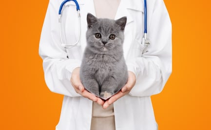 Protege a tu mejor amigo: Regálale un seguro este 14 de febrero